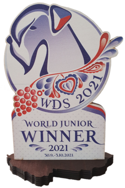 WDS pohar