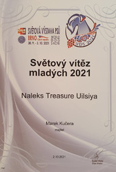 Německý pinč diplom wds siya