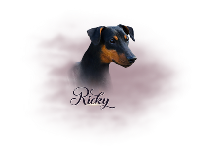 Ricky